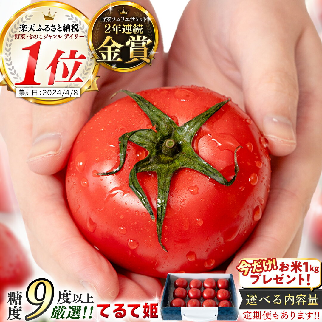 【ふるさと納税】【糖度9度以上 スーパーフルーツトマト てるて姫 約800g ～ 2.6kg × 1箱 ～ 3箱 定期便 2026年収穫分 先行予約 フルーツトマト ブランドトマト 野菜 ギフト 青空レストラン 黄金のワンスプーン