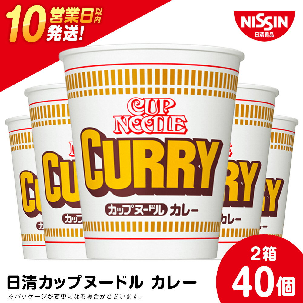 【ふるさと納税】 日清★カレーヌ−ドル★2箱 合計40食 麺類 ラーメンラーメン麺 即席麺 麺類 ラーメン カップ麺 インスタント 麺類 カップラーメン 【北海道千歳市】ギフト ふるさと納税