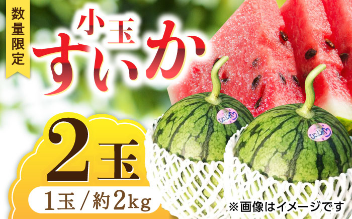 【先行予約】 小玉 すいか 2玉【合同会社 福福堂】 [ZCN005]
