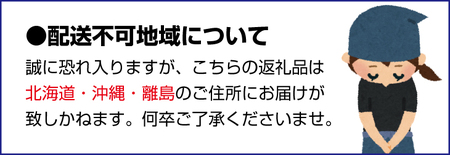 紀州の恵みセット【mef004-1】