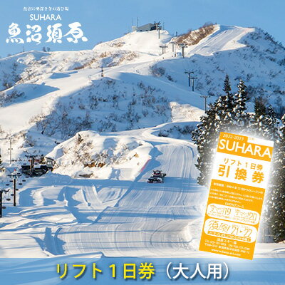 【ふるさと納税】須原スキー場 リフト1日券（大人用） チケット 入場券 優待券 体験チケット リフト券 　お届け：2025年12月上旬～2026年3月15日まで
