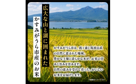 ＜毎月定期便＞コシヒカリ 精米 10kg | こしひかり 茨城県かすみがうら市全6回【4094325】
