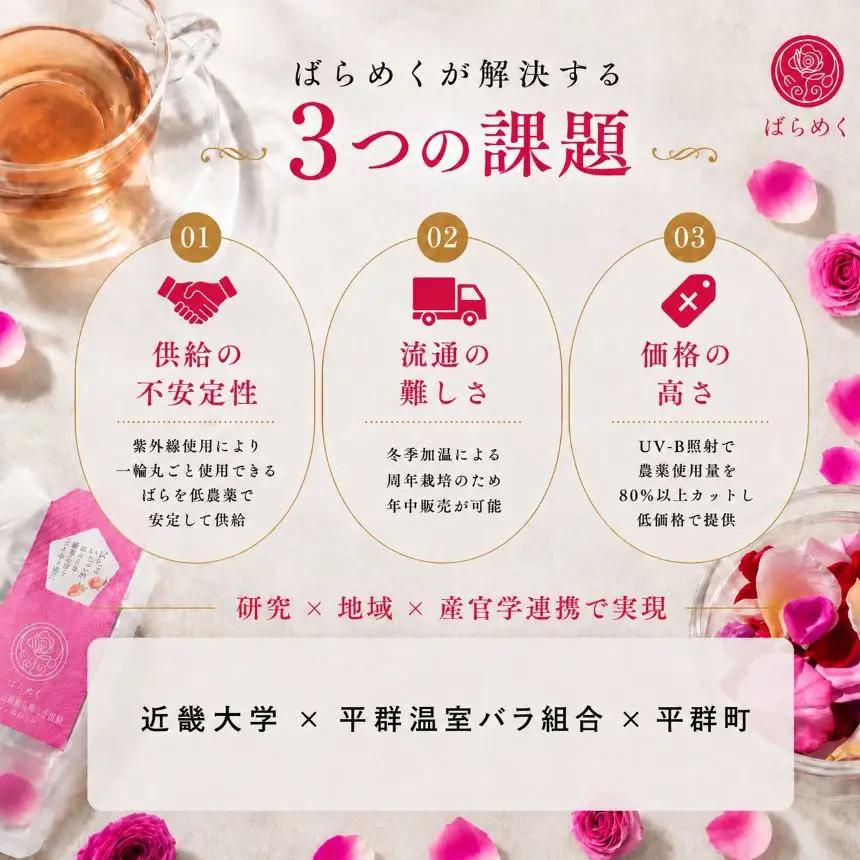 ローズティー バラパウダー いちご 古都華 コンプリート セット 食用バラ 薔薇 ハーブティー ノンカフェイン 奈良 平群 減農薬 ポリフェノール 美容 健康 ティーバッグ ギフト 贈り物 お茶 アレ