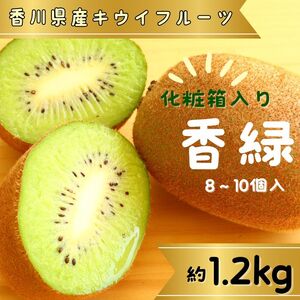 香緑（キウイフルーツ）1.2kg 8～10個 化粧箱入り【予約受付中！令和8年11月中旬頃より発送！】【A-111】