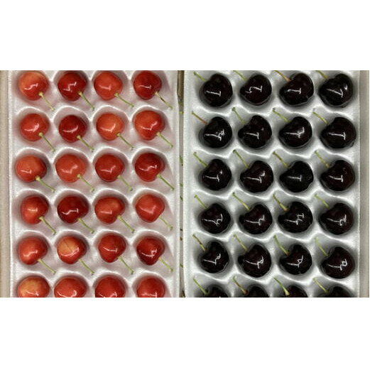 【ふるさと納税】8-020-006　さくらんぼ食べくらべ（サミット3L・南陽3L）約500g【グリーンドロップ農園】　お届け：7月15日～7月25日※収穫状況により前後あり