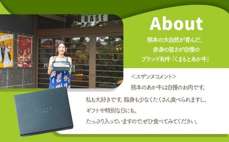 スザンヌ厳選！ 「くまもとあか牛」 サーロインステーキ 500g （250g×2個） ／ あか牛 褐毛和種 和牛 牛肉 お肉 肉 サーロイン ステーキ スザンヌ 九州 熊本県 冷凍