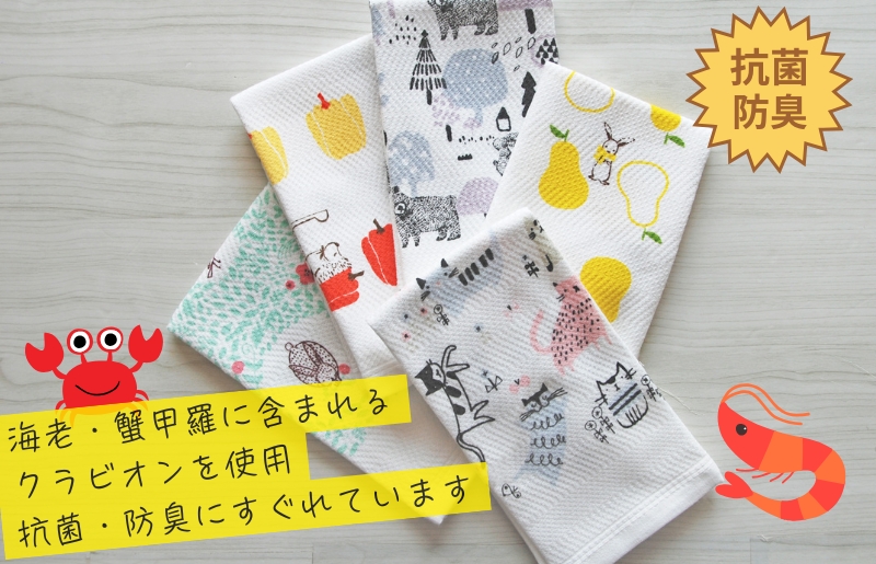 【無地熨斗】抗菌防臭！ふきぴか キッチンタオル 5枚セット （ギフト仕様 デザインおまかせ） 099H3912