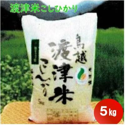 ふるさと納税 白山市 《高級日本料理店採用》蛍の里「渡津米」白米5kg・栽培期間中農薬化学肥料70%減