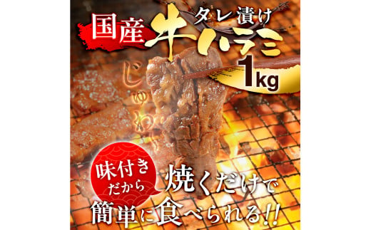 国産 特製たれ漬 牛ハラミ サガリ １kg JX003-4