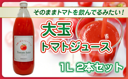 【そのままトマトを飲んでる感じ！】大玉トマトのトマトジュース 1L 2本セット｜国産 姫路産 八百ちゃんトマト 100%ストレート