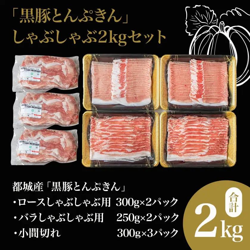 【6回お届け!】「黒豚とんぷきん」定期便≪総重量16kg≫〔T90-6-5901〕_(都城市) 都城産 黒豚とんぷきん しゃぶしゃぶ2kgセット/小間切れ3kg/大盛3kgセット 6ヵ月定期便