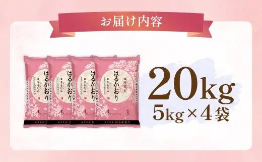 【令和7年産】はるかおり 精米 20kg  香春町 ／ ふるさと納税限定 ふるさと納税限定品 お米 米 白米 食品 ご飯 飯 九州 福岡県 香春町 令和7年産 令和7年