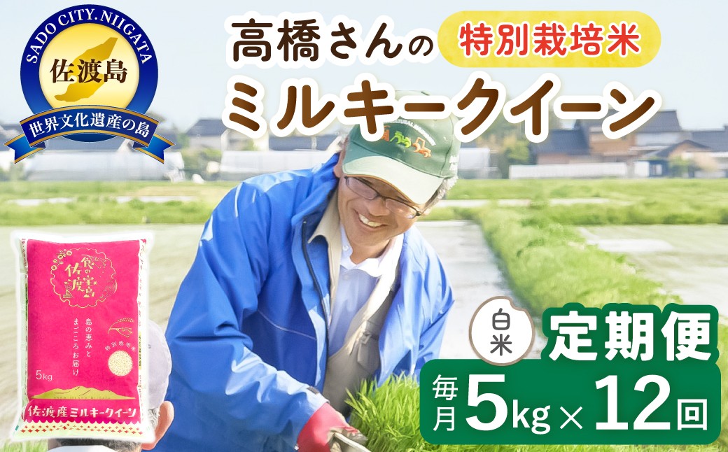 
                  【12か月定期便 ミルキークイーン】佐渡島産ミルキークイーン 白米 合計60kg（5kg×毎月お届け全12回）令和8年産 新米 特別栽培米 | 新潟県産ミルキークイーン 新潟産ミルキークイーン 佐渡産ミルキークイーン みるきーくいーん お米 米 白米 精米 ブランド米 おこめ コメ 5キロ 世界農業遺産 にいがた さど 新潟県 佐渡市
                
