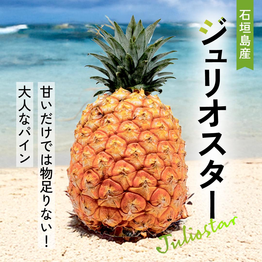 
            【先行予約】ジュリオスター大玉6個 計7.2kg 《６月上旬より順次発送》【 産地直送 沖縄 石垣 フルーツ パイナップル パイン ジュリオスター 】SI-46
          