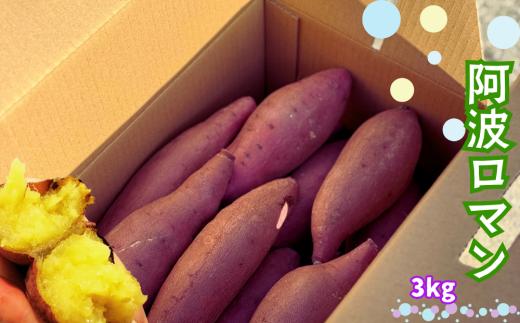 鳴門産 さつまいも 『 阿波ロマン 』 3kg 　しっとり 甘い 国産 スイーツ 焼き芋 焼芋 干し芋