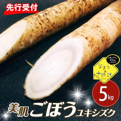ふるさと納税 芽室町 【先行受付2026年5月中旬より順次発送】北海道芽室町 春掘り美肌ごぼう【ユキシズク】L5kg