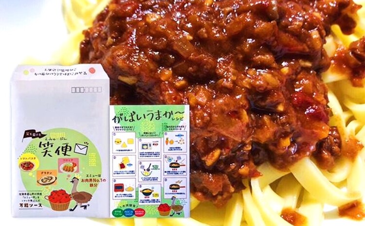 エミューキーマカレー(中辛)・笑便(万能ソース)【エミュー 基山産 高タンパク 高鉄分 低カロリー ヘルシー 貴重肉 鉄分補給 簡単 手軽 カレー スパゲッティ パスタ レトルト】 A1-J00600