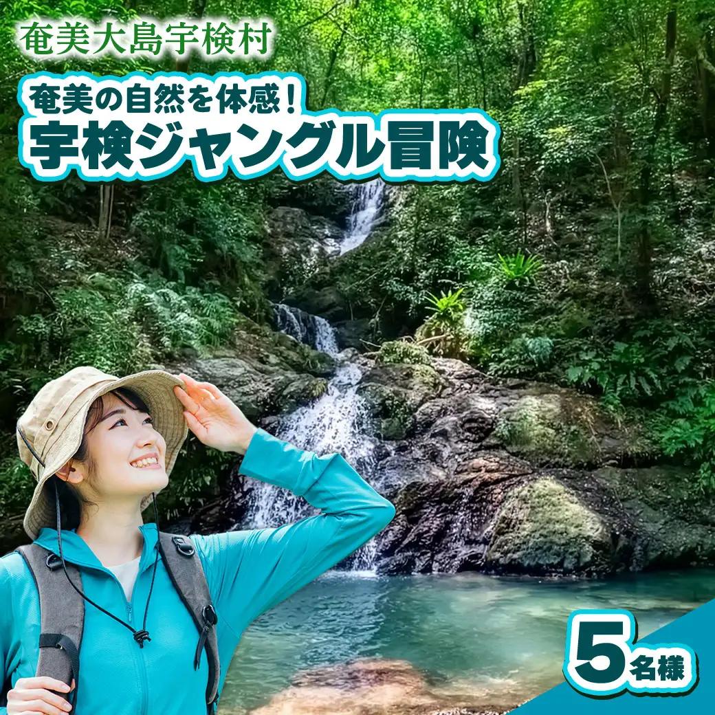 宇検ジャングル冒険 5名様 奄美大島 宇検村 鹿児島県 旅行 自然 冒険 完全プライベート