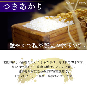 新米 先行予約 【令和8年産】 つきあかり 玄米 10kg （5kg×2袋）×3ヶ月定期便 《2026年11月より順次発送開始予定》 ／ げんまい 岩手県産 中沢農産