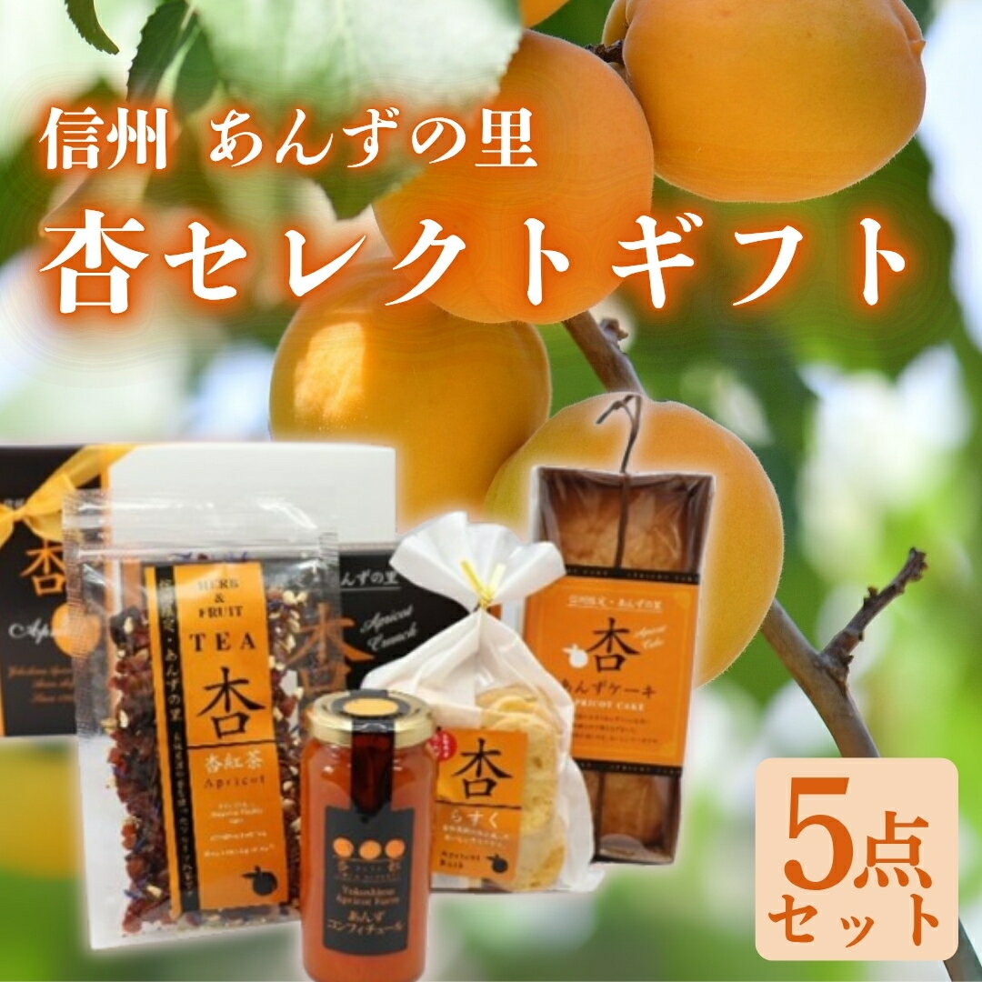 【ふるさと納税】 あんず セレクトギフト5種詰め合わせ ＜信州あんずの里＞ ｜ 杏子 アンズ 詰合せ 食べ比べ ケーキ おやつ デザート スイーツ 軽食 国産 千曲市 長野県産 信州