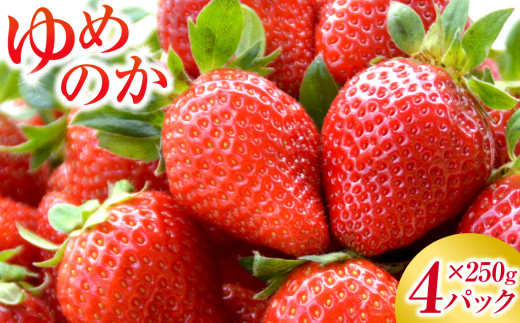 長崎産 ゆめのか イチゴ（250g×4パック） 苺 いちご イチゴ ストロベリー 果物 フルーツ 生食用 製菓用 パフェ ケーキ 【2026年1月上旬-2月下旬発送予定】