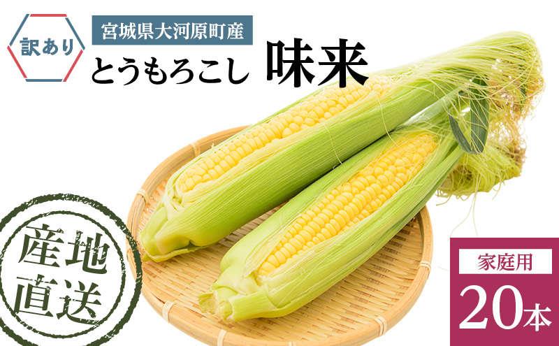 とうもろこし 味来 家庭用 20本 訳アリ トウモロコシ 宮城県産 甘い 夏 朝採れ 訳あり 産地直送 宮城県 大河原町