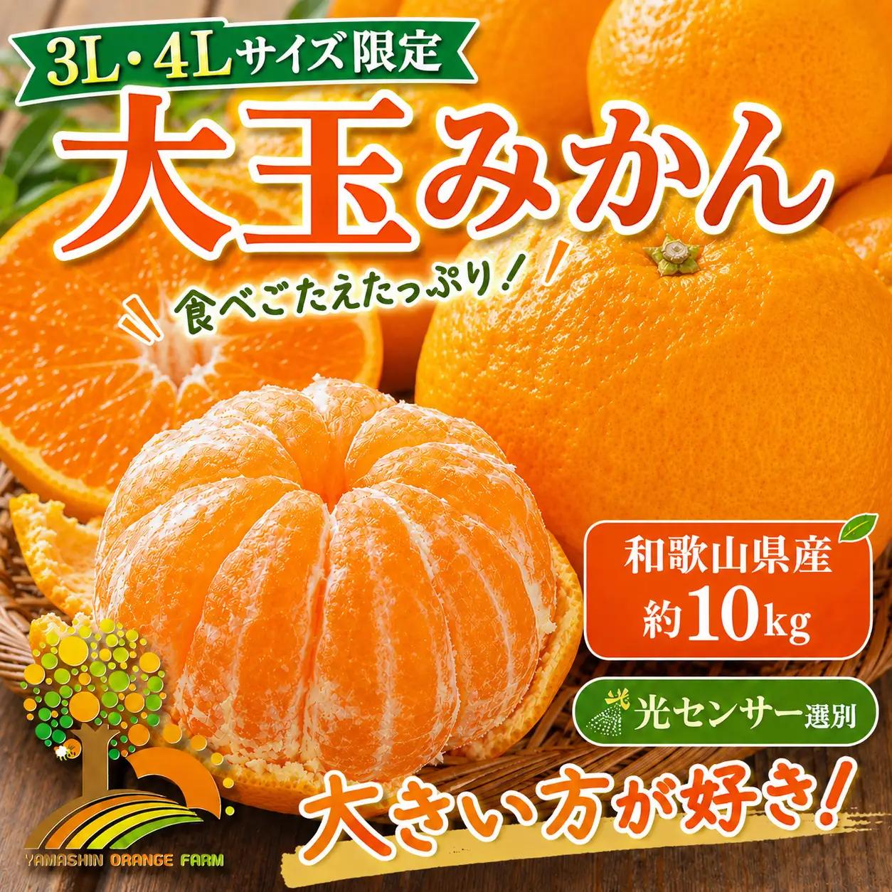 有田みかん 約10kg 大玉3L以上 有機質肥料100% ＼光センサー選別／ 農家直送 ｜ みかん
