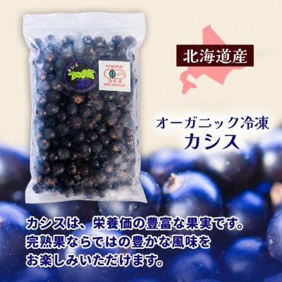有機JAS認証北海道帯広産 冷凍カシス 2.5kg(500g×5袋)【配送不可地域：離島】【1746260】