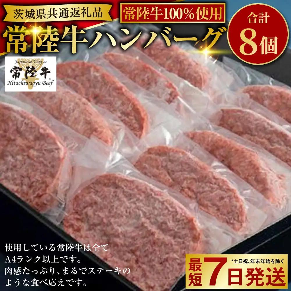 【常陸牛100%】ハンバーグ8個（ソース付） 130g×8個 合計1.3kg（茨城県共通返礼品） | ハンバーグ 個包装 挽肉 ひき肉 アウトドア 小分け お肉 肉 牛肉 和牛 黒毛和牛 ブランド 常陸牛 100% 惣菜 おかず 冷凍 お取り寄せ 藤井商店 茨城県 守谷市