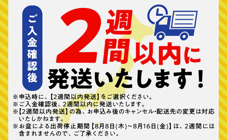 ≪肉質等級4等級以上≫宮崎牛ロースステーキ(計1kg) 肉 牛 牛肉 焼肉 国産_T030-016【人気 ロース ステーキ ギフト ロース ステーキ 食品 ロース ステーキ 焼肉 ロース ステーキ 宮