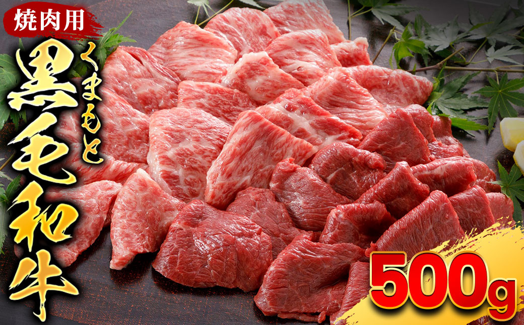 
くまもと黒毛和牛 焼肉用 500g
