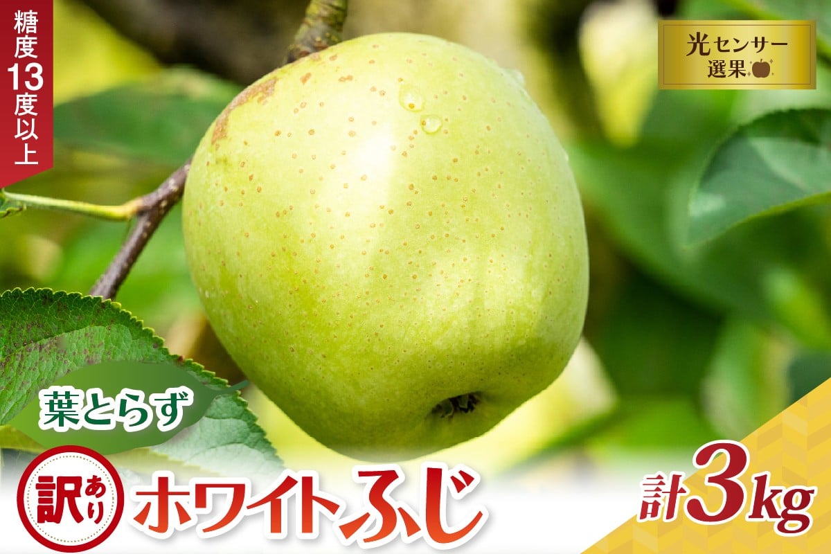 
            【選べる配送時期】 葉とらずホワイトふじ りんご 約 3kg 訳あり 家庭用 11月 12月 青森産 葉とらずりんご ホワイトふじ ホワイトフジ リンゴ 葉とらず 訳ありりんご 五所川原 ハトラズホワイト
          