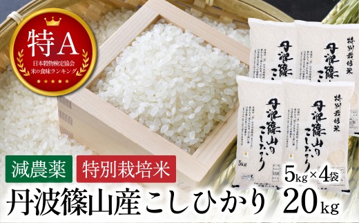 新米予約 令和8年産〈スピード出荷〉【特A 減農薬】 特別栽培米こしひかり 20kg  お米 精米 コシヒカリ 丹波篠山産 コメ こめ お米　こしひかり