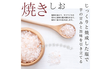 105-1121 大分県産 さつまいも 焼塩 チップス 45g×10袋 芋 いも スナック お菓子 おやつ 紅はるか