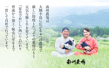 1394 南州農場 黒豚焼豚詰合せ（化学調味料不使用）＜NN-3129＞ KN005-002 チャーシュー 豚肉 加工品 鹿児島黒豚 黒豚 ふるさと納税 鹿児島 鹿屋市 おすすめ ランキング プレゼン