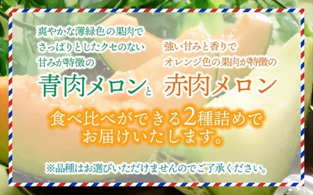 【令和8年産先行予約】 庄内砂丘青肉・赤肉メロン食べくらべ　 各1玉 (計2玉) 約2.5kg 山形県鶴岡市産　株式会社 元青果
