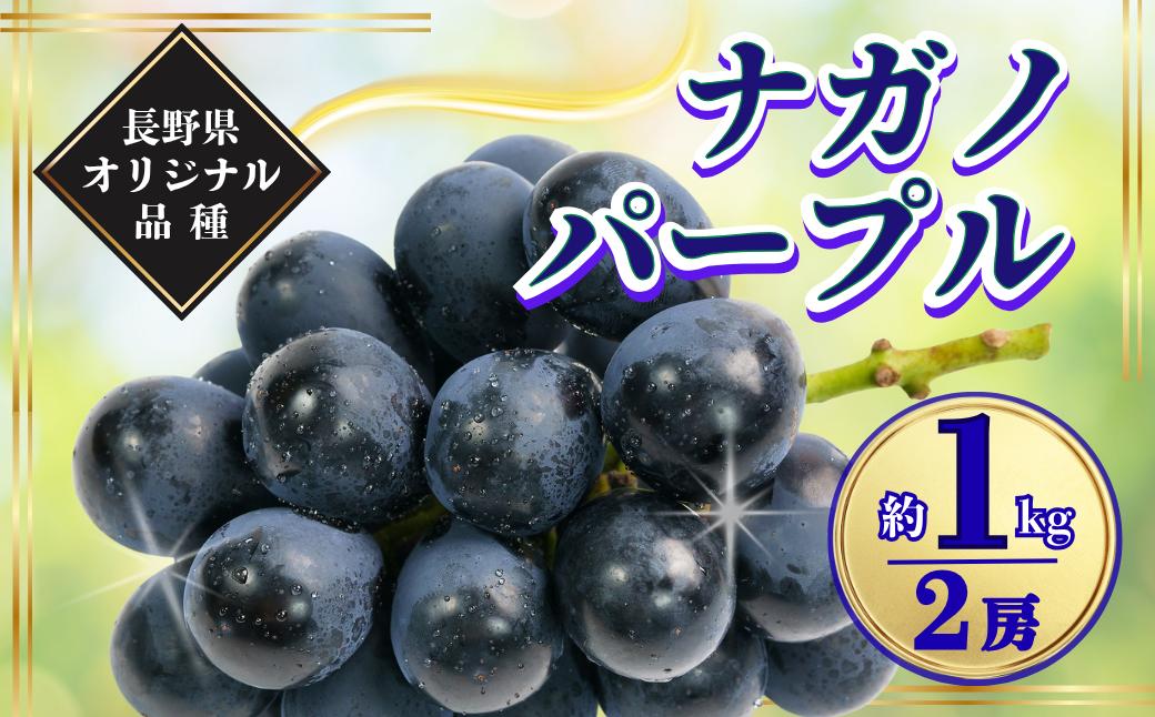 
                  【2026年先行予約】ナガノパープル 約1kg (2房) ｜ ナガノパープル ながのぱーぷる 1キロ ぶどう ブドウ 大粒 果物 フルーツ 黒ぶどう 葡萄 種無し 種なし 皮ごと 千曲市 長野県 信州
                