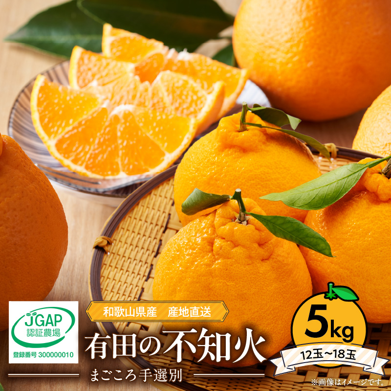 ZE6383n_有田の不知火(しらぬひ) 5kg　12～18玉 （２L～４Lサイズ） 手選別 国産 有田のしらぬひ 産地直送 有田 有名 柑橘 果物 果実 フルーツ バランスの良い甘さ 甘い 食品 食べ物 あしのや お取り寄せ 和歌山県 湯浅町 送料無料