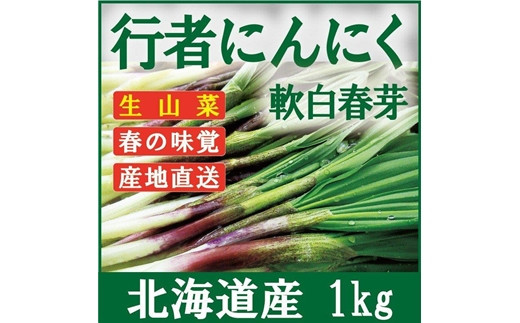 
            ≪先行予約≫ 令和7年産 行者にんにく芽 (生) 1kg ≪数量限定・3/31締め切り≫ 【09121】
          