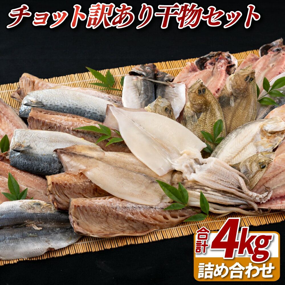 【ふるさと納税】〈かけはし水産〉チョット訳あり干物セット
