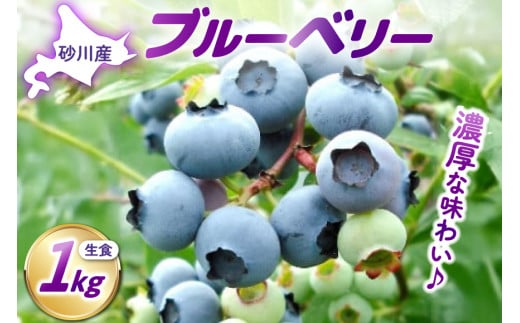 
                  【期間限定発送】生食 ブルーベリー 1kg [ノーザン・ベリーズ 北海道 砂川市 12260529] 果物 フルーツ 国産 期間限定 数量限定 自家栽培 レビューキャンペーン
                