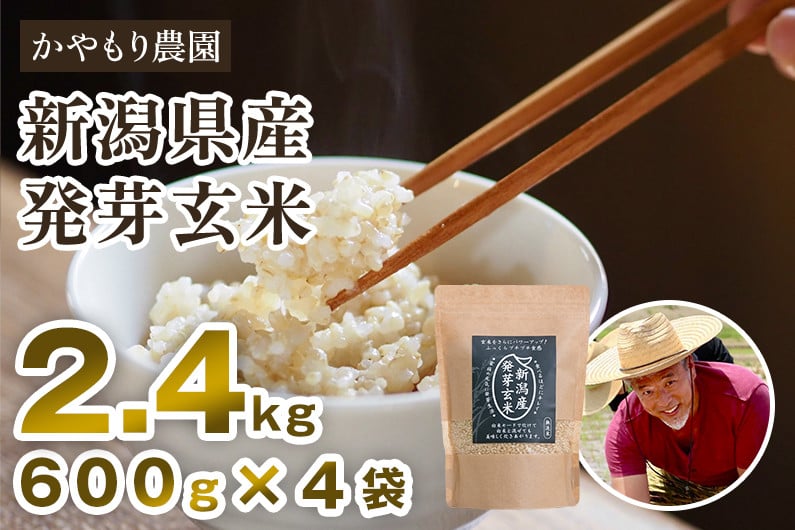 
            【令和7年産新米】[発芽玄米] 新潟産 発芽玄米2.4kg（600g×4袋）《9月下旬～順次出荷》 新潟米 新潟県産 かやもり農園
          