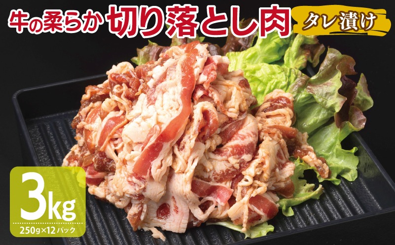 099H3384 牛肉 切り落とし タレ漬け 合計3kg【味付け 小分け 焼くだけ 簡単調理 BBQ 牛肉 250g×12袋】