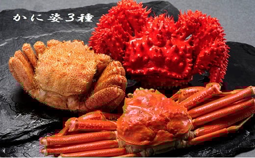 D-01028【12/21まで年内配送】 かに姿3種(花咲がに・毛がに・ずわいがに)