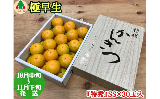 
                  極早生 有田 みかん 化粧箱 小箱 特秀 小玉 SS サイズ 30玉入 南泰園 和歌山 有田みかん
                