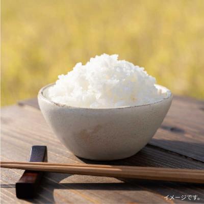 ふるさと納税 糸島市 【全3回定期便】とくべつの中のとくべつ糸島特別栽培米5kgコシヒカリ(株)やました[ARJ025] |  | 01