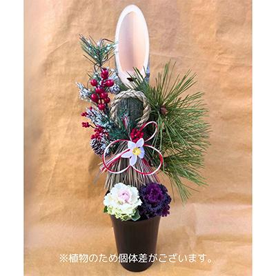 ふるさと納税 藤枝市 迎春・お正月用門松寄せ植え6号 　60cmタイプ |  | 03