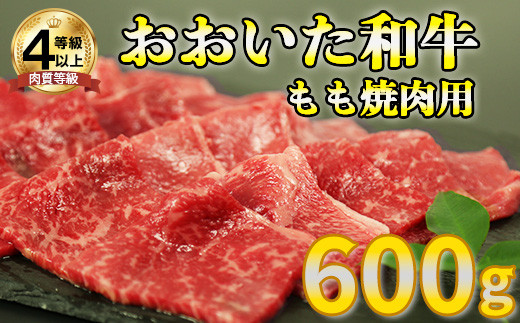 
おおいた和牛もも焼肉用 600g お楽しみ 牛肉 お肉 もも ＜123-001_5＞
