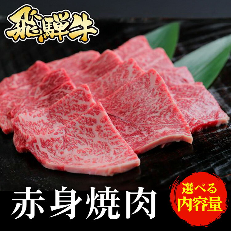 【ふるさと納税】＼選べる内容量／飛騨牛 赤身焼肉　※北海道・沖縄・離島への配送不可