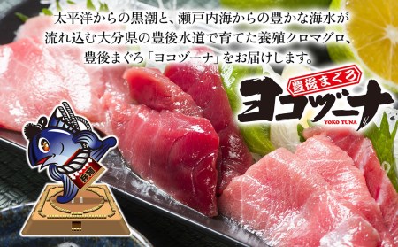 【定期便・全3回】豊後まぐろ ヨコヅーナ 贅沢セット 赤身250g 中トロ500g 大トロ250g 入りの豪華セット刺し身 刺身 マグロ 鮪 大分県産 九州産 津久見市【tsu0003019】